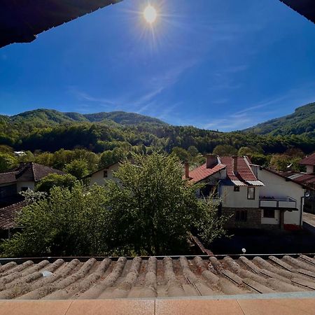 Luylyana Guesthouse Ribaritsa Buitenkant foto