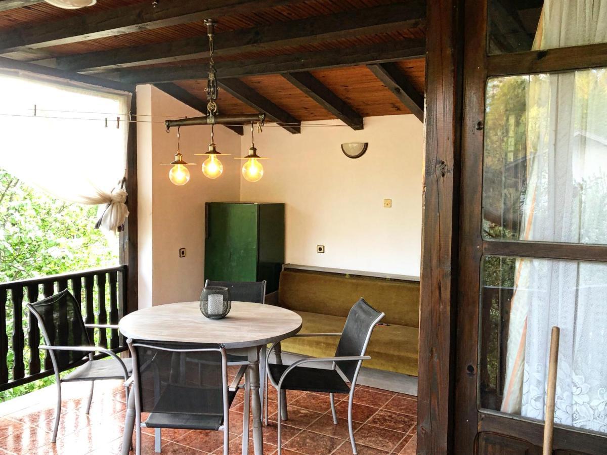 Luylyana Guesthouse Ribaritsa Buitenkant foto