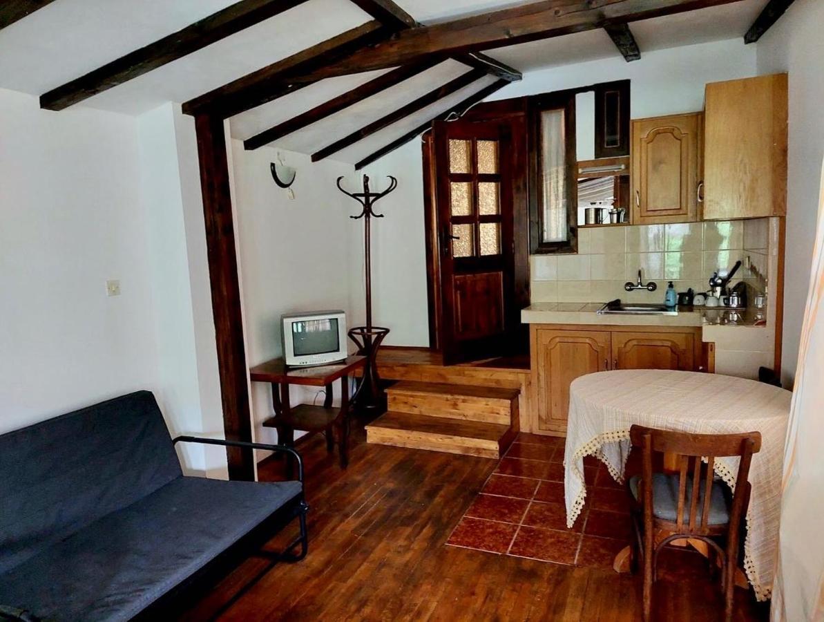 Luylyana Guesthouse Ribaritsa Buitenkant foto