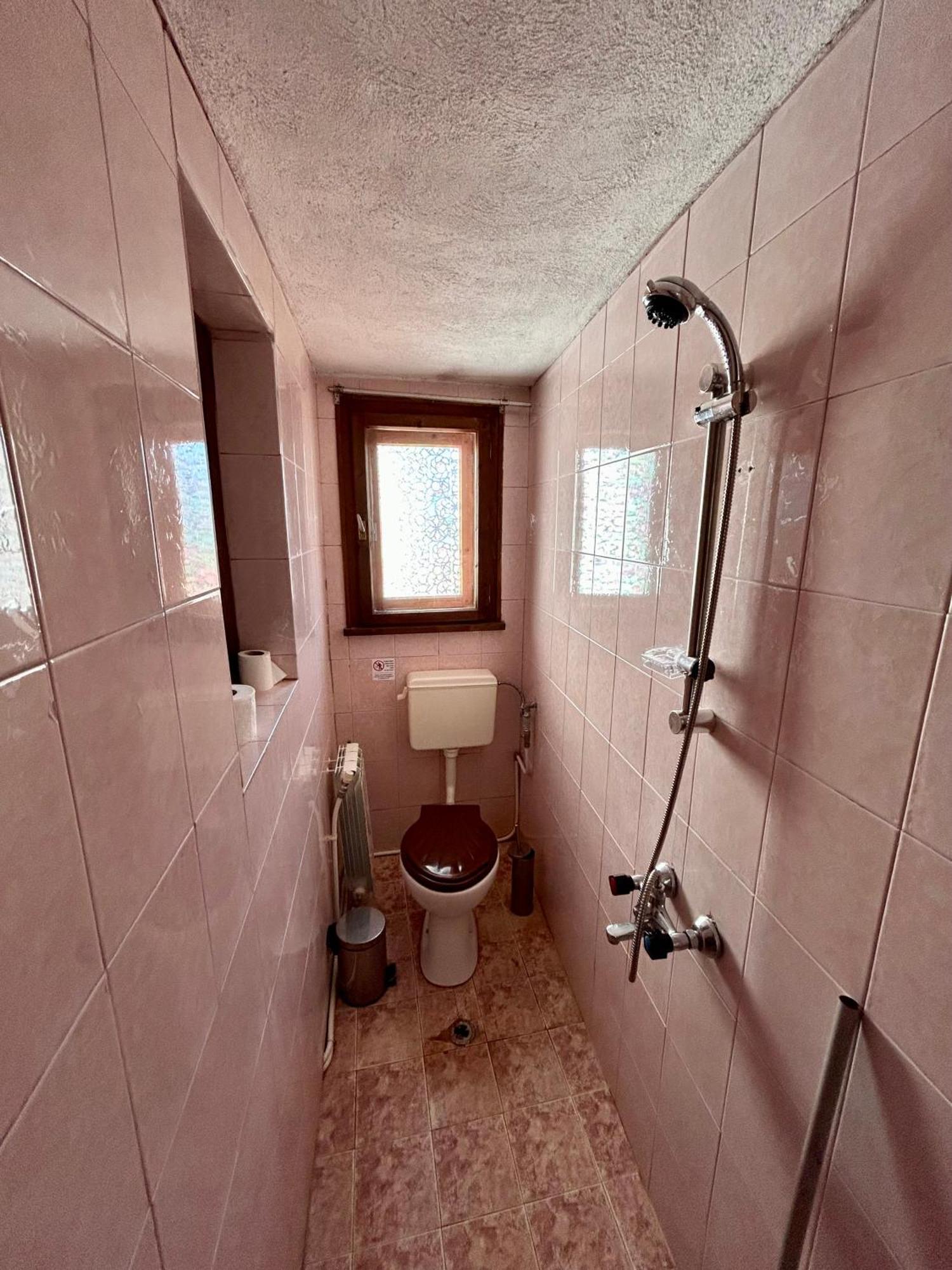 Luylyana Guesthouse Ribaritsa Buitenkant foto
