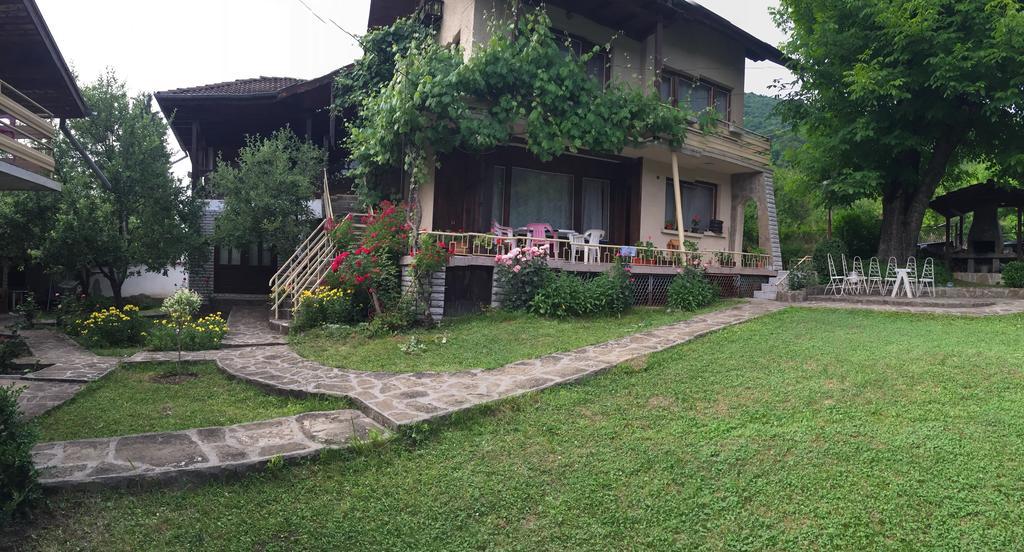 Luylyana Guesthouse Ribaritsa Buitenkant foto