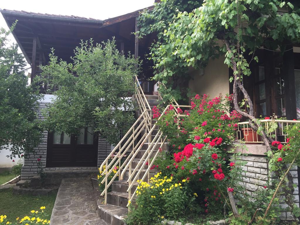 Luylyana Guesthouse Ribaritsa Buitenkant foto