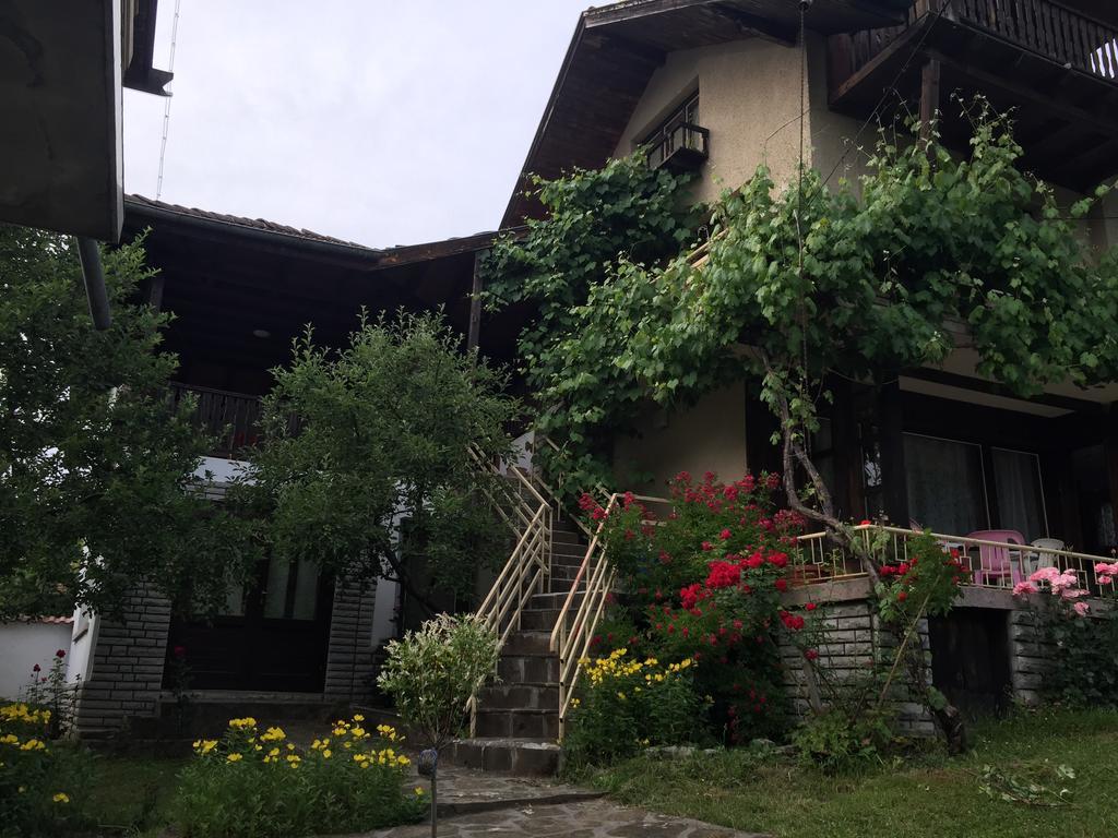 Luylyana Guesthouse Ribaritsa Buitenkant foto