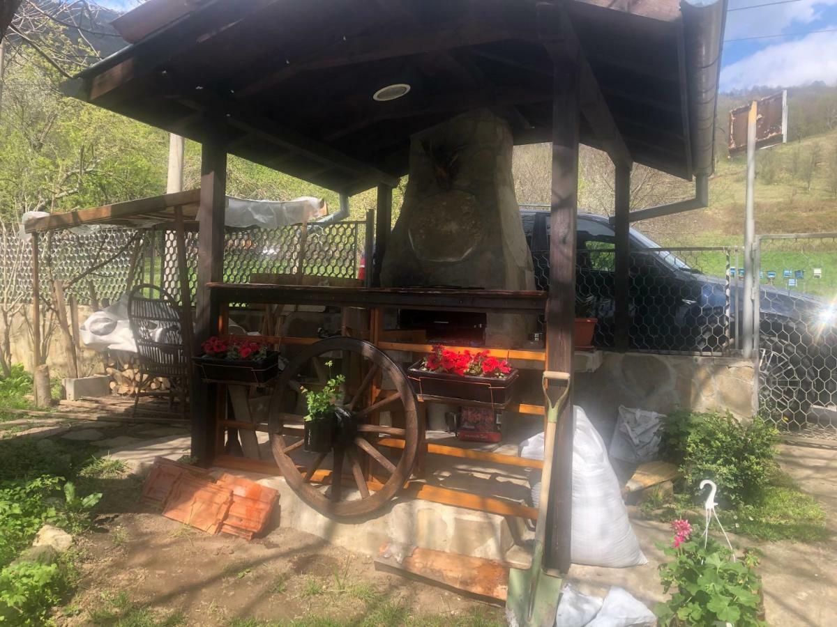 Luylyana Guesthouse Ribaritsa Buitenkant foto
