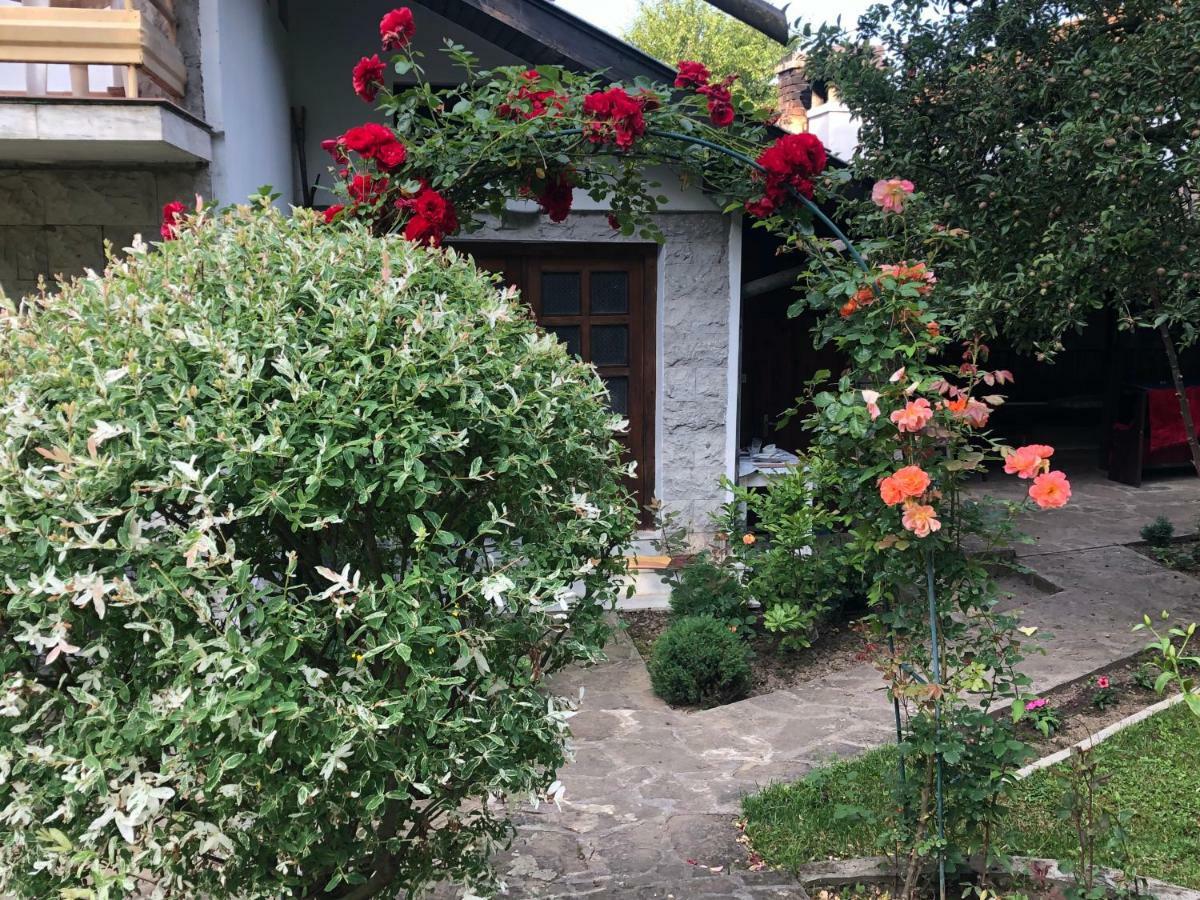 Luylyana Guesthouse Ribaritsa Buitenkant foto