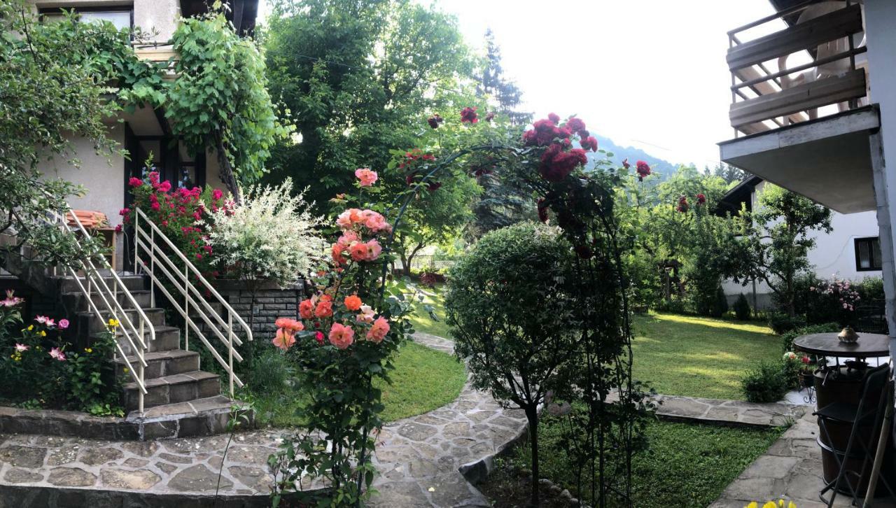Luylyana Guesthouse Ribaritsa Buitenkant foto