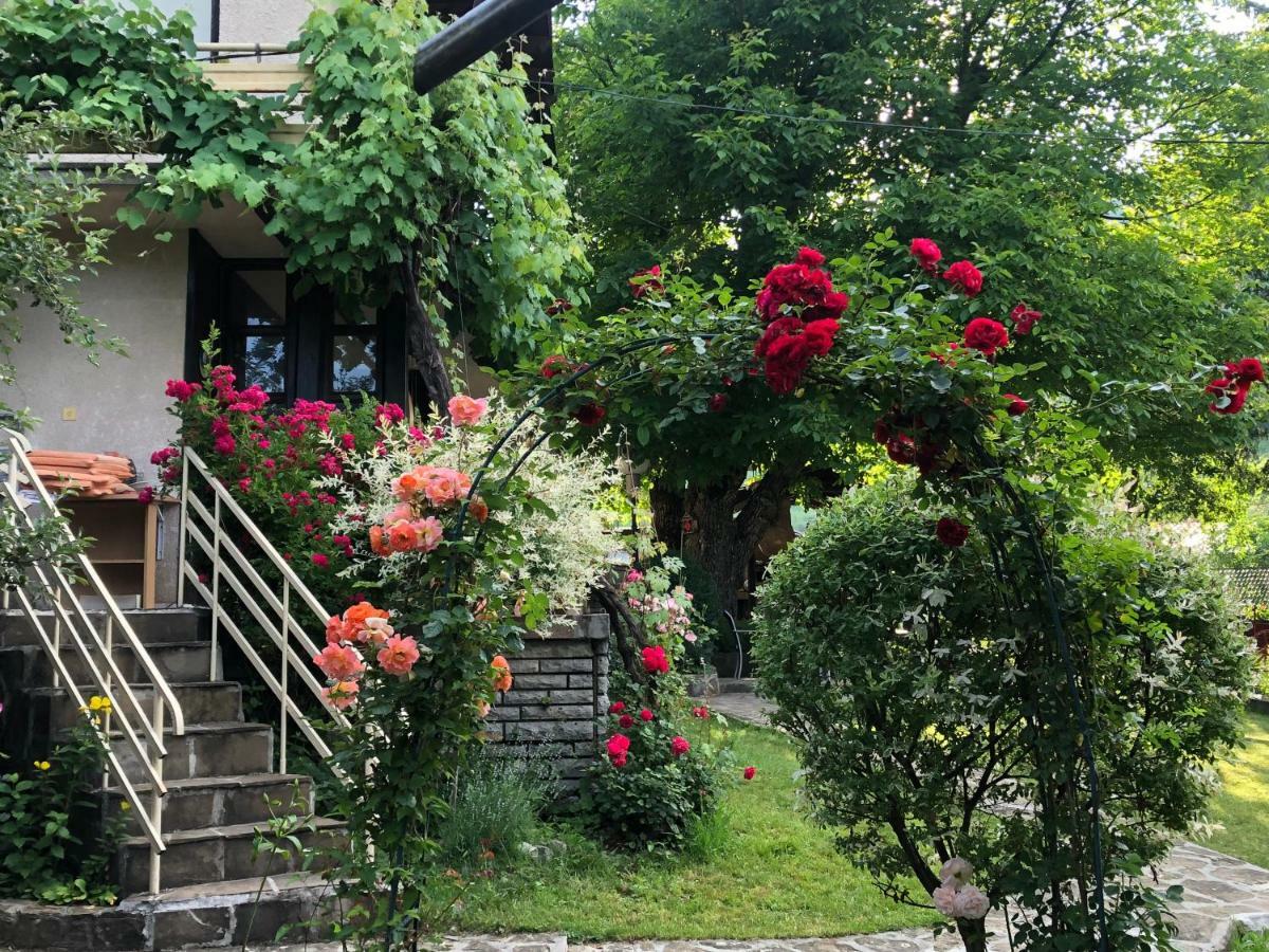 Luylyana Guesthouse Ribaritsa Buitenkant foto